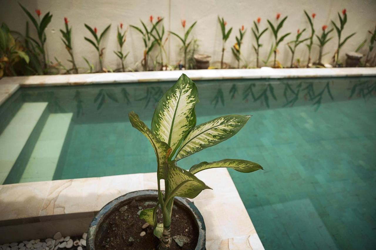 Papaya Villa Sanur Exteriör bild
